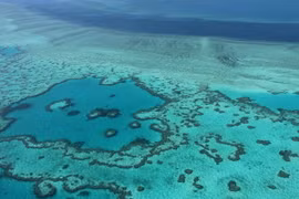 Toàn cảnh rạn san hô nổi tiếng Great Barrier. (Nguồn: AFP/TTXVN)