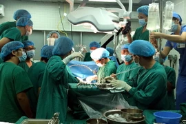 Ảnh chỉ có tính minh họa. (Nguồn: TTXVN)