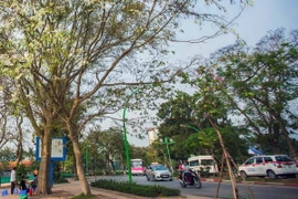 Ảnh chỉ có tính minh họa. (Ảnh: Trọng Đạt/TTXVN)