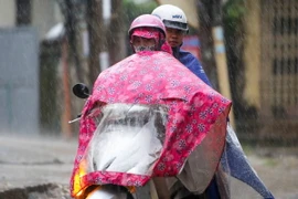 Ảnh chỉ có tính minh họa. (Ảnh: Lê Minh Sơn/Vietnam+)