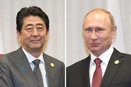 Cuộc gặp thượng đỉnh giữa Thủ tướng Nhật Bản Shinzo Abe (trái) và Tổng thống Nga Vladimir Putin (phải) dự kiến vào ngày 27/4. (Nguồn: Kyodo/TTXVN)