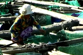 Ảnh chỉ có tính minh họa. (Ảnh: Thế Lập/TTXVN)