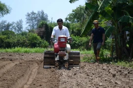 Ông Huỳnh Tiển (áo trắng) sử dụng máy lên luống trên thực địa. (Ảnh: Quốc Dũng/TTXVN)