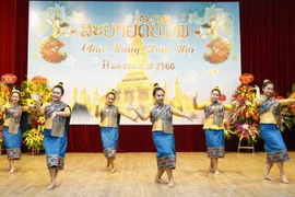(Ảnh minh họa: Văn Điệp/TTXVN)