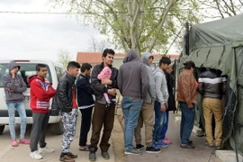 Người tị nạn xếp hàng nhận đồ ăn tại một trung tâm tiếp nhận người di cư ở Subotica, miền Bắc Serbia. (Nguồn: EPA/TTXVN)