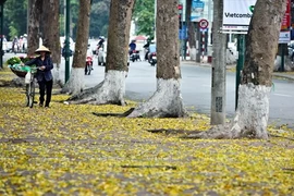 Ảnh chỉ có tính minh họa. (Nguồn: Báo Ảnh Việt Nam/Vietnam+)