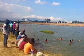 Ảnh chỉ có tính minh họa. (Ảnh: Công Thử/TTXVN)