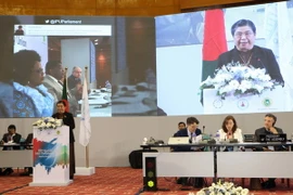 Phó Chủ tịch Quốc hội Tòng Thị Phóng phát biểu tại một cuộc họp IPU. (Ảnh: Huy Bình/TTXVN)