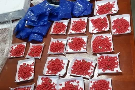 Ảnh chỉ có tính minh họa. (Ảnh: Việt Hùng/TTXVN)