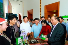 Thủ tướng Nguyễn Xuân Phúc thăm các gian hàng trưng bày sản phẩm tại hội nghị. (Ảnh: Thống Nhất/TTXVN)