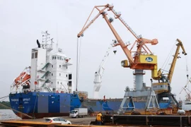 Ảnh chỉ mang tính minh họa. (Nguồn: TTXVN)