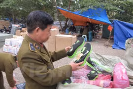 Ảnh chỉ mang tính minh họa. (Nguồn: PV/Vietnam+)