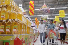 Ảnh chỉ mang tính minh họa. (Nguồn: TTXVN)