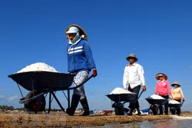 Ảnh chỉ mang tính minh họa. (Nguồn: TTXVN)