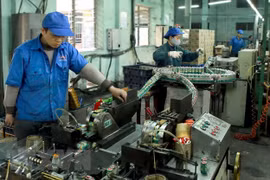 Ảnh chỉ mang tính minh họa. (Nguồn: TTXVN)