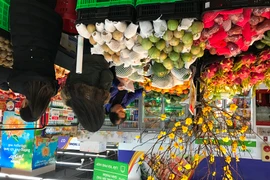 Ảnh chỉ mang tính minh họa. (Nguồn: Đức Duy/Vietnam+)