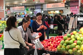 Ảnh chỉ mang tính minh họa. (Nguồn: Đức Duy/Vietnam+)