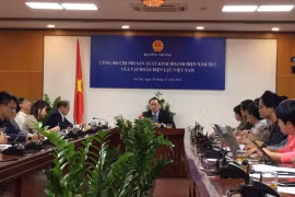 Họp báo công bố chi phí sản xuất kinh doanh điện của Tập đoàn Điện lực Việt Nam. (Ảnh: Đức Duy/Vietnam+)