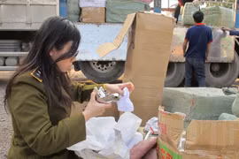 Lực lượng Quản lý thị trường Hà Nội kiểm tra hàng hóa tại các kho, bãi. (Ảnh: Đức Duy/Vietnam+)