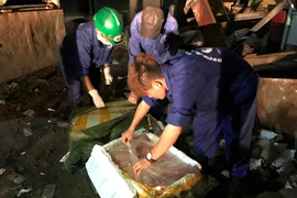 Tiêu hủy 11,5 tấn nội tạng không rõ nguồn gốc