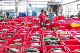 Ảnh chỉ mang tính minh họa. (Nguồn: TTXVN)