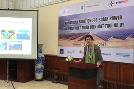 Bà Grete LoChen, Quyền Đại sứ Na Uy tại Việt Nam. (Ảnh: Đức Duy/Vietnam+)