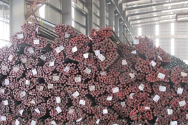 Ảnh chỉ mang tính minh họa. (Nguồn: PV/Vietnam+)