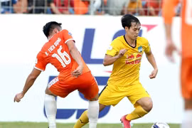 (Ảnh: PV/Vietnam+) 