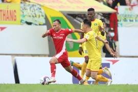 Phần còn lại của V-League dự kiến bắt đầu từ 31/7 đến 22/8. (Ảnh: PV/Vietnam+) 