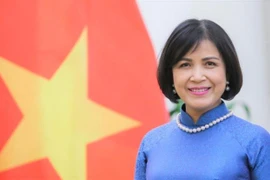 Đại sứ Lê Thị Tuyết Mai, Trưởng Phái đoàn Việt Nam tại Geneva làm Trưởng đoàn đàm phán. (Ảnh: Tố Uyên/TTXVN)