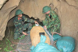 Lực lượng chức năng tiến hành xử lý quả bom. (Ảnh: TTXVN phát)