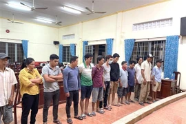 Hàng chục đối tượng tụ tập đá gà ăn tiền bị bắt giữ. (Ảnh: TTXVN phát)