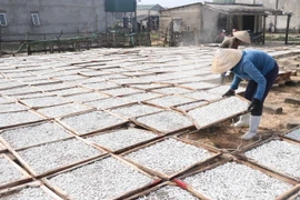 Phơi khô cá cơm sau khi đã hấp. (Ảnh: Nguyên Lý/TTXVN)