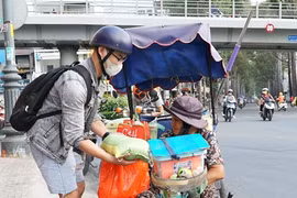 Ảnh minh họa. (Ảnh: Anh Tuấn/TTXVN)