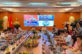 Giải thưởng 'Sản phẩm công nghệ số Make in Viet Nam' chính thức được phát động. (Ảnh: Minh Sơn/Vietnam+)