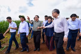 Thủ tướng Chính phủ: Kinh tế tư nhân là động lực của kinh tế nước nhà