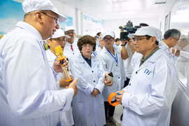 Thủ tướng Phạm Minh Chính thăm Trang trại chăn nuôi bò sữa số 3 (thuộc cụm trang trại 1). (Ảnh: Minh Sơn/Vietnam+)