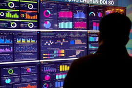 Ảnh minh họa. (Ảnh: Minh Sơn/Vietnam+)