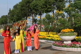 Bình Dương: Khai mạc Đường hoa nghệ thuật, Hội Hoa xuân, báo Xuân