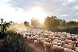 Bắc Bộ nền nhiệt tăng nhẹ, miền Nam nhiệt độ ít biến động