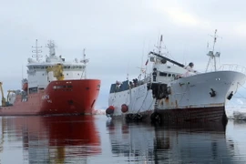 Các công ty Hàn Quốc giúp Nga đóng tàu phá băng chở dầu-khí