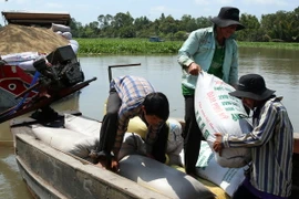 Sẽ sớm thu mua tạm trữ lúa, gạo vụ Đông Xuân 2014-2015