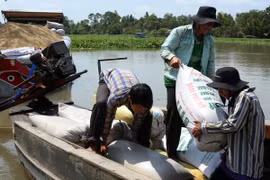 Sẽ sớm thu mua tạm trữ lúa, gạo vụ Đông Xuân 2014-2015