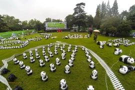 Trung Quốc triển khai “ngoại giao gấu trúc” với Hàn Quốc