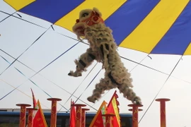 Khởi tranh Giải lân sư rồng toàn quốc năm 2015 tại Cần Thơ