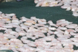 Nguồn cung không đủ cầu, tôm khô Cà Mau tăng giá đột biến