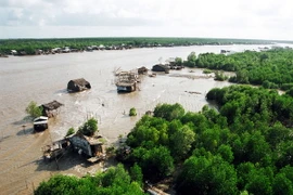 Cà Mau thí điểm cho thuê rừng sản xuất và làm du lịch sinh thái