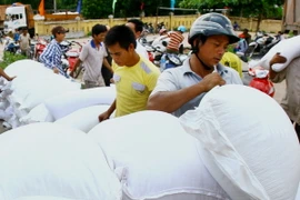 Quảng Bình khẩn trương phân bổ hơn 1.200 tấn gạo hỗ trợ cứu đói