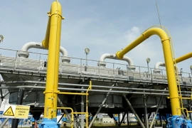 Ukraine nâng mạnh lãi suất tái cấp vốn và tăng gấp ba giá khí đốt