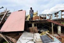 Không có thông tin người Việt thương vong sau siêu bão ở Vanuatu